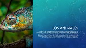 Los Animales^