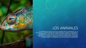 Los Animales^