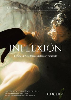 Inflexión Revista