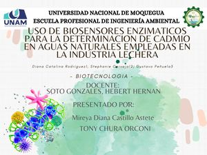 Mapa Conceptual De Biosensores De Metales (Cadmio)
