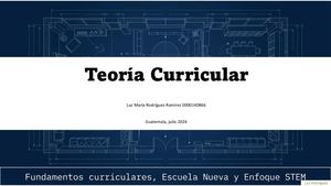 Parcial, Teorías Curriculares Luz Rodríguez