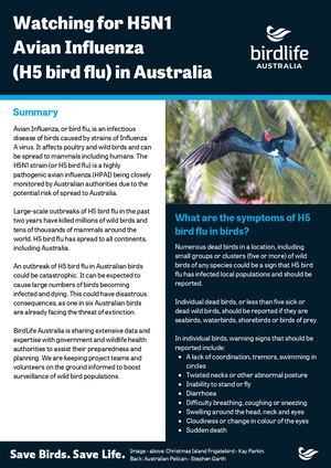 Fact sheet: Watching for H5N1 Avian Influenza in Australia