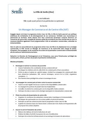 Manager de Commerce et de Centre-Ville (H/F)