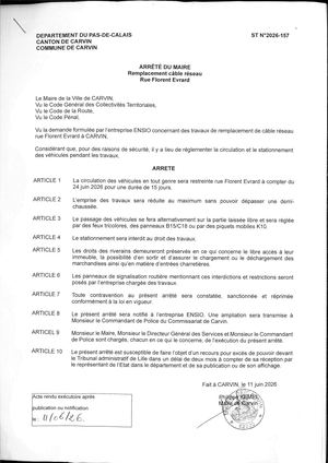 TRAVAUX DE REMPLACEMENT CABLE RESEAU - RUE F. EVRARD