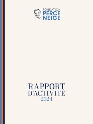 Rapport D Activite 2024