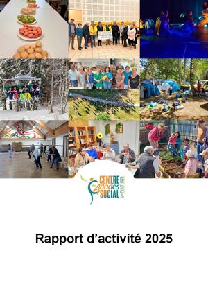 Rapport Activité Cscc 2025