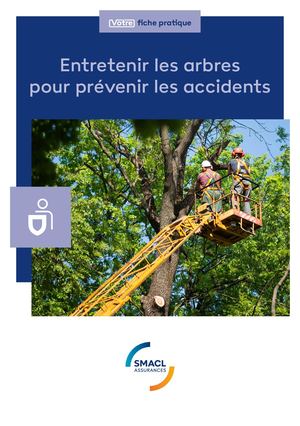Fiche pratique - Entretenir les arbres pour prévenir les accidents