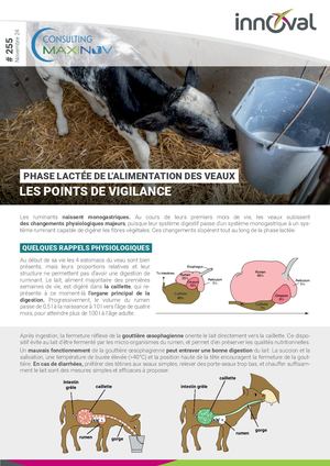 255 Maxinov Alimentation Lactee