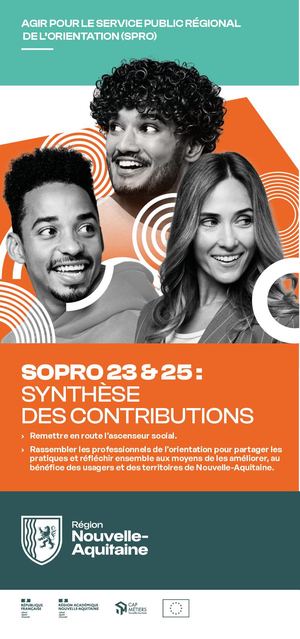 Synthèse des actes sopro