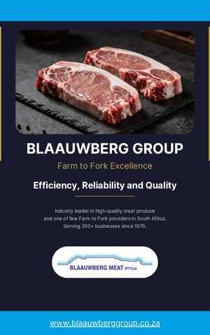 Blaauwberg Group Ebook (July 2026)