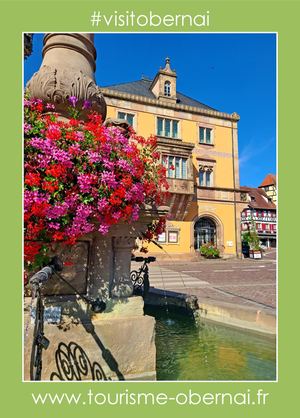 Magazine Obernai l'Alsace dont vous rêvez