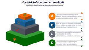Reducir Perdidas