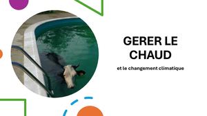 Gestion des canicules