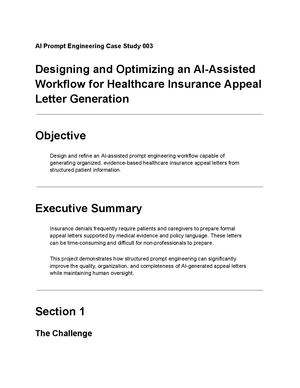 Ai Prompt Engineering Case Study 003