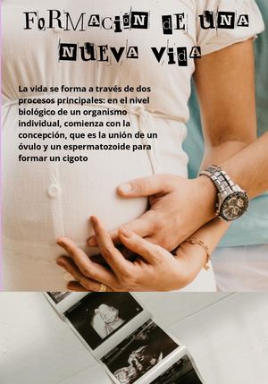 Revista De Crecimiento Y Desarrollo 20260709 143300 0000