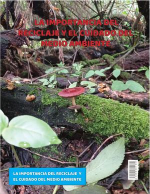 Ejercicio práctico - producción. GA7-291301081-AA2-EV01