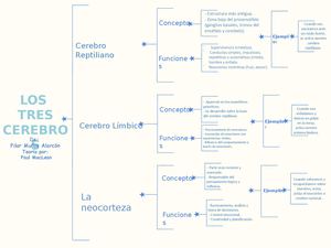 Cuadro Sinóptico Dayana Ortega