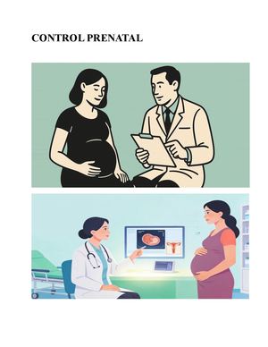 Control Prenatal Y Su Importancia