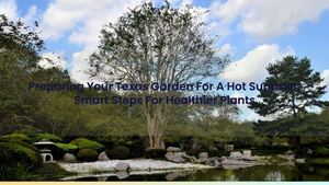 Preparing Your Texas Garden For A Hot Summer: Smart Steps For Healthier Plants