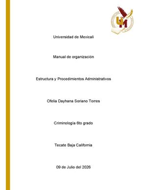 Manual De Organizacion Criminova