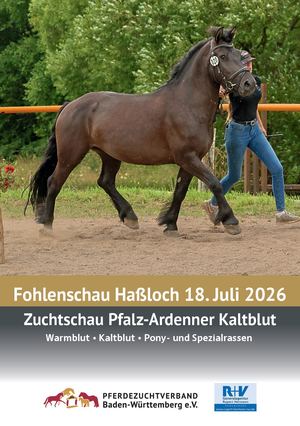 Fohlenschau Haßloch 2026