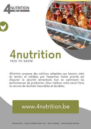 Brochure 4n Africa Fr