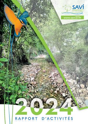 Rapport d'Activités du SAVI 2024