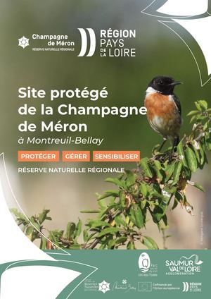 Site protégé de la Champagne de Méron à Montreuil-Bellay