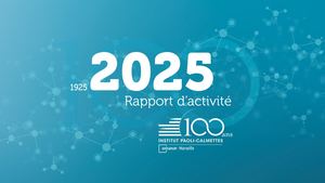 Rapport d'Activité 2025