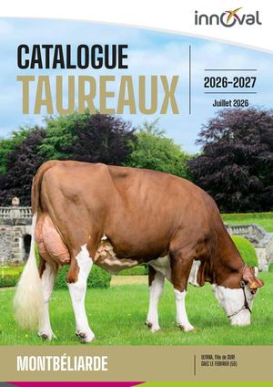 Catalogue Montbéliard Juillet 2026