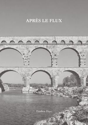 Puyo Emilien_Après Le Flux_Notice Introductive