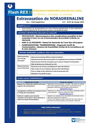 Flash Rex 1 Extravasation De Noradrenaline