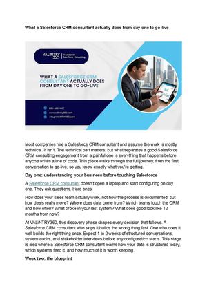 Salesforce Crm Consultant