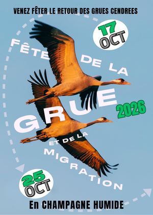 19ème Fête de la Grue et de la Migration