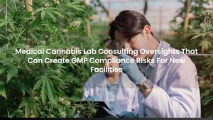 Medical Cannabis Lab Consulting Oversights That Can Create GMP Compliance Risks For New Facilities