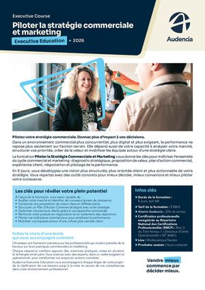Piloter La Stratégie de Commerciale et Marketing