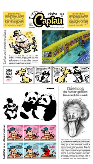 Página CAPIAU 02