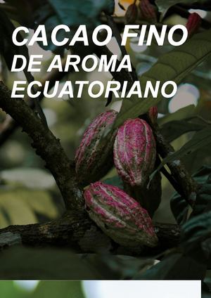 Revista Cacao Fino De Aroma Affinity (Nueva Versión Web para publicar))