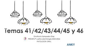 Bloque 3 Temas 41 42 43 44 45 46 Anky