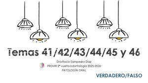 Bloque 3 Temas 41 42 43 44 45 46 Verdadero Falso