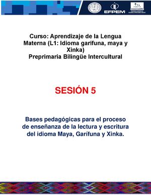 Sesión 5 Infografía Almpreprimaria