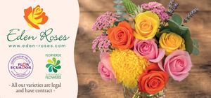 Catalogo Eden Roses Summer 2026