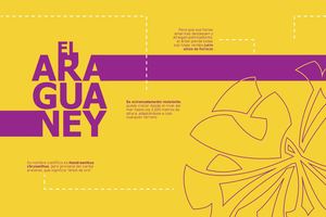 Diagramacion Montaje