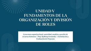Fundamentos de la Organización y Roles