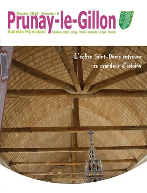 Bulletin Municipal N°8 - Prunay-le-Gillon