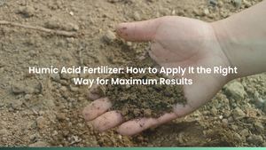Humic Acid Fertilizer: How to Apply It the Right Way for Maximum Results