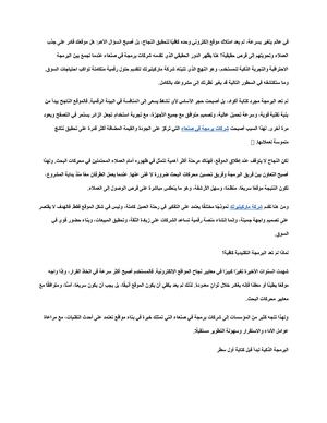 شركات برمجة في صنعاء تصنع نجاحًا رقميًا يتجاوز مجرد موقع إلكتروني