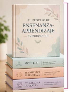 Portafolios De Nee