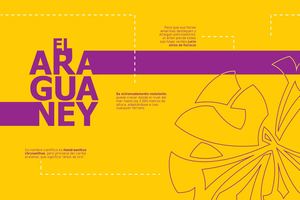 Diagramacion Montaje