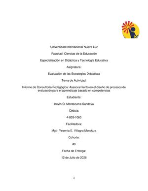 Informe De Consultoría Pedagógica